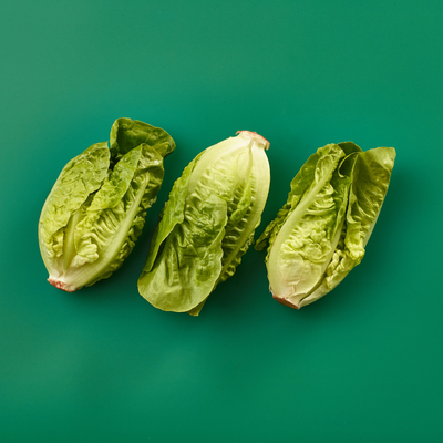 Little Gem Lettuce