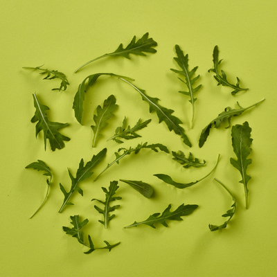 Roquette Leaves