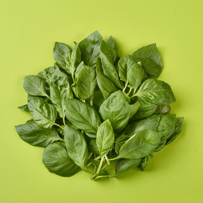 Basil