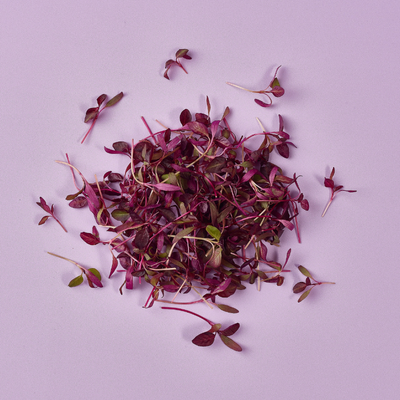 Microcress Red Amaranth