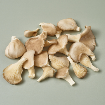 Grey Oyster Mushrooms 