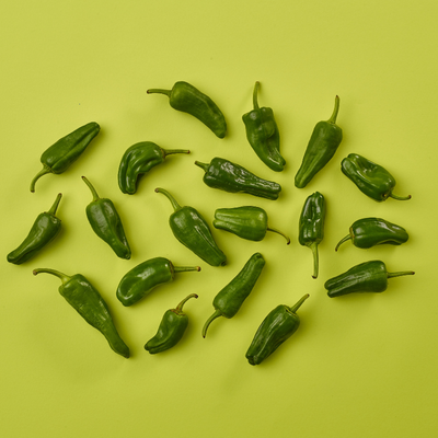 Pepper Padron