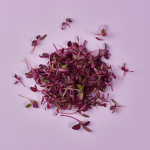 Microcress Red Amaranth