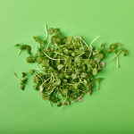 Microcress Basil 