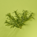 Fresh Rosemary