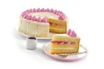 SYSCO PREMIUM Rhubarb & Custard Cake