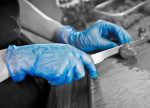 Blue Vinyl Powder Free Disposable Glove Medium