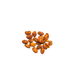 MR FILBERTS Dry Roasted Peanuts